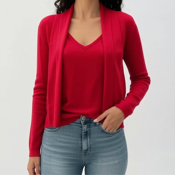 Ann Taylor LOFT V-Neck Merino Wool Cashmere Sweater Long Sleeve Red Small - Picture 1 of 7